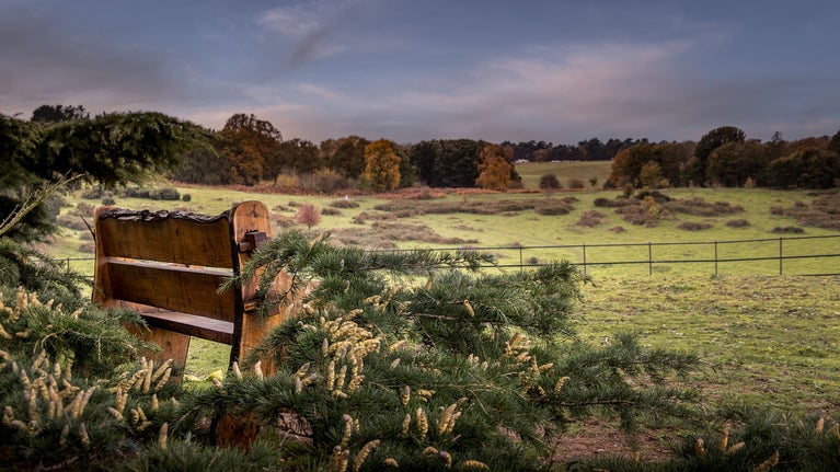 A bench in the Sutton Hoo grounds in autumn, Suffolk